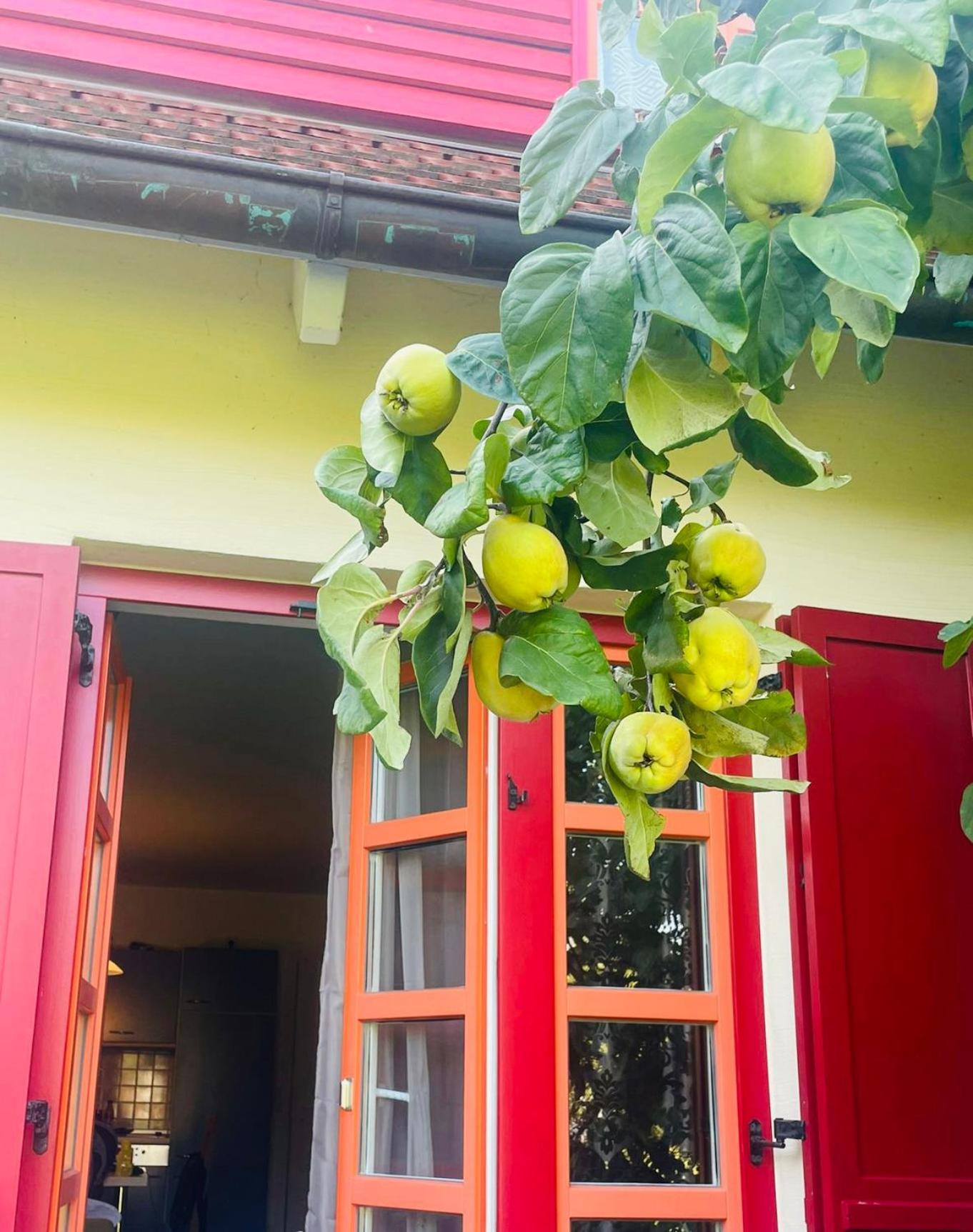 Moewenblick Bakenberg-41 Ferienwohnung Mit Terrasse, Doppelbett, Schlafsofa, Vollstaendige Komfortkueche درانسكي المظهر الخارجي الصورة